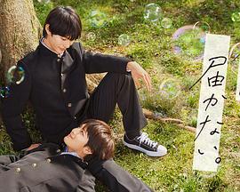 森林冒险海报剧照